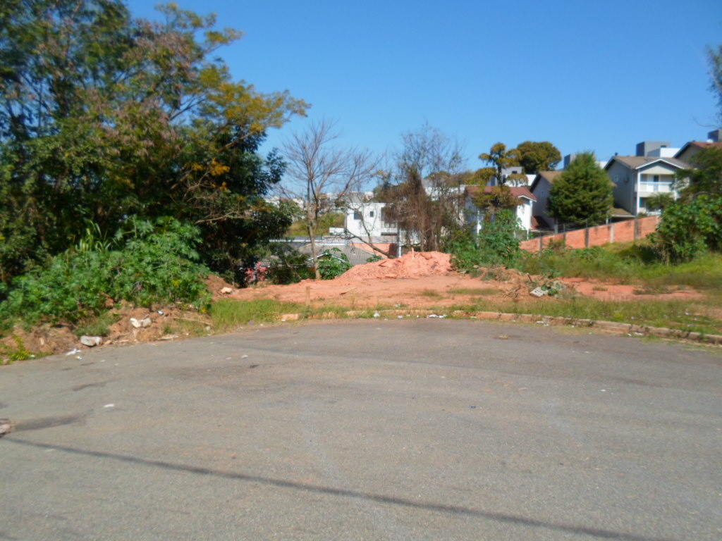 Terreno à Venda - Foto 6
