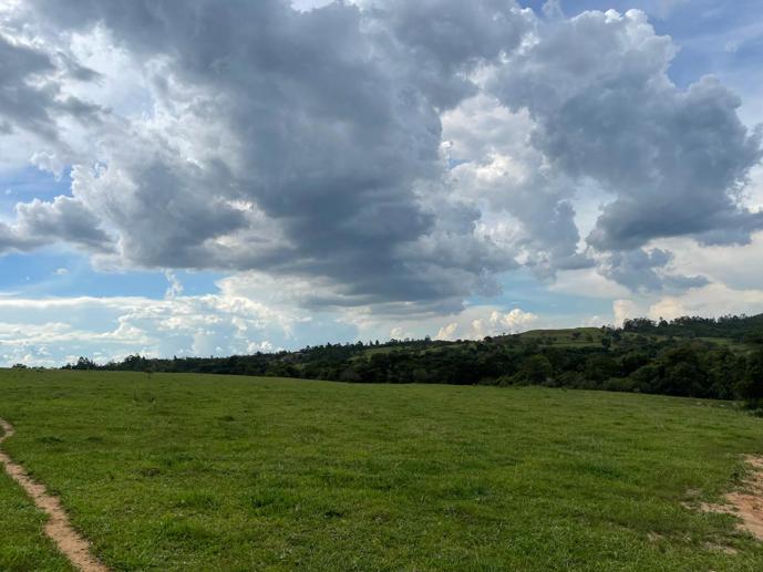 Rural com 6 Quartos à Venda, 502.000,00 m² - Foto 24