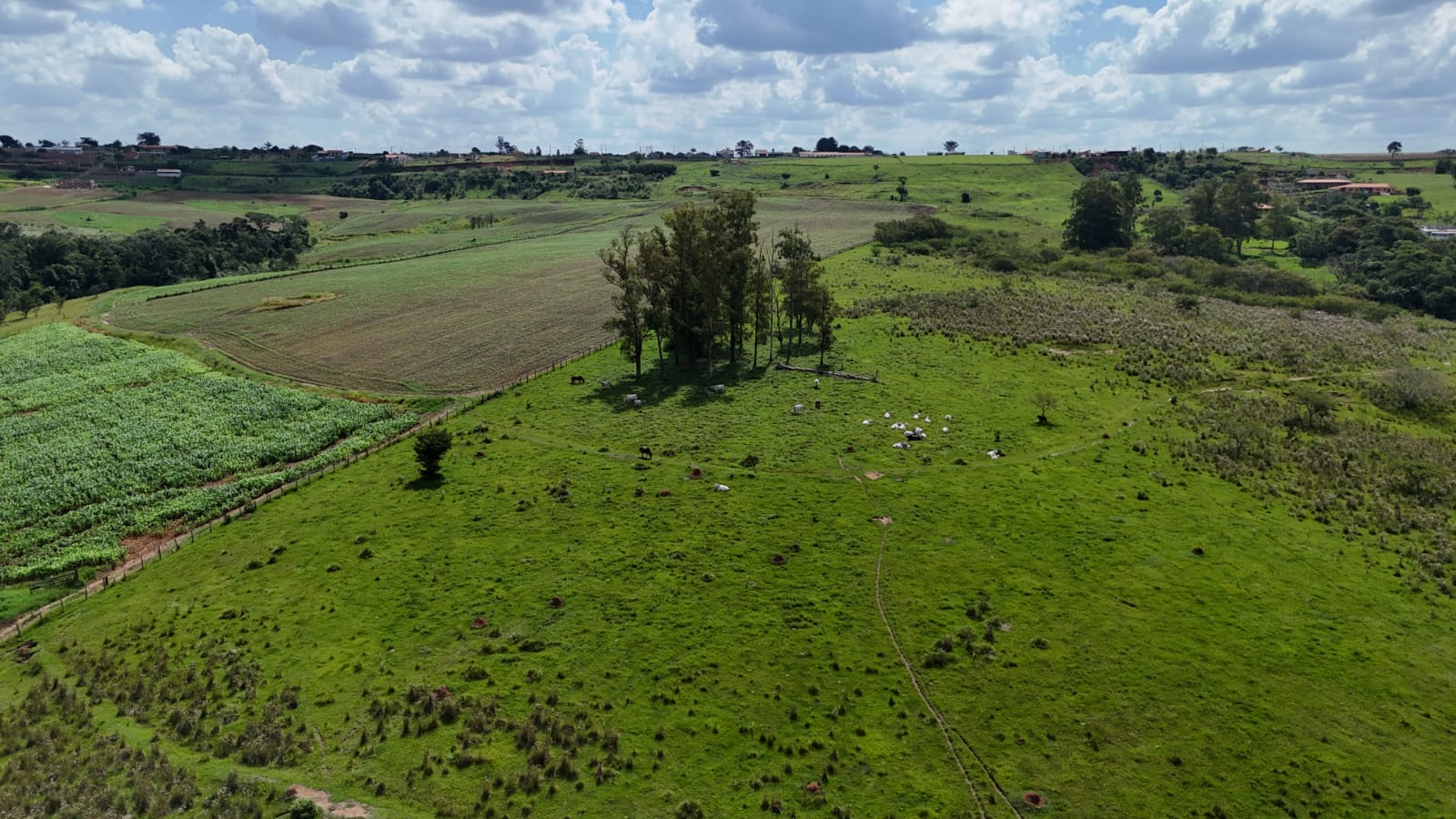 Rural com 3 Quartos à Venda, 220.000,00 m² - Foto 14