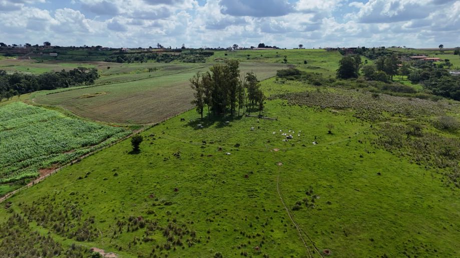 Rural com 3 Quartos à Venda, 220.000,00 m² - Foto 14