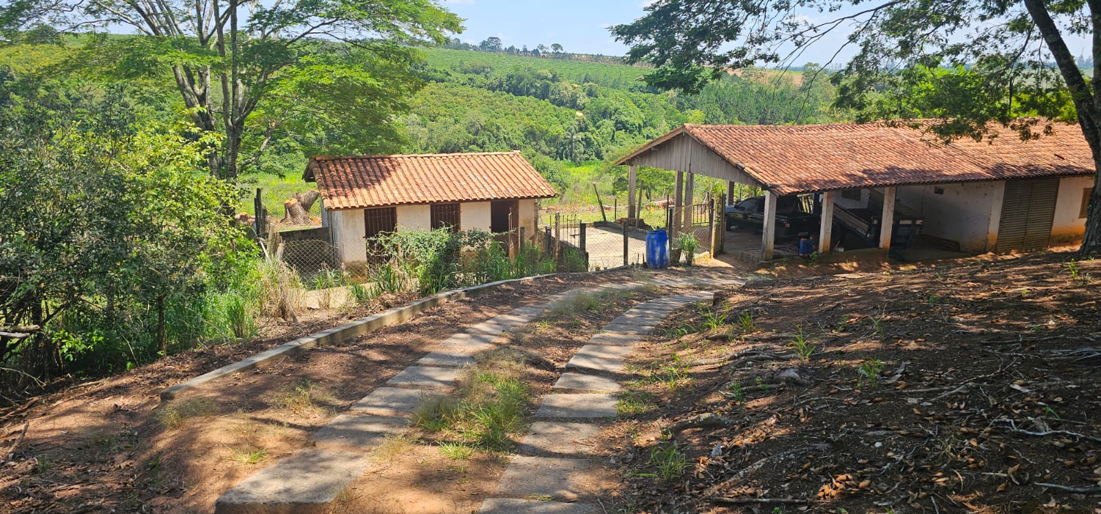 Rural com 4 Quartos à Venda, 242.000,00 m² - Foto 12