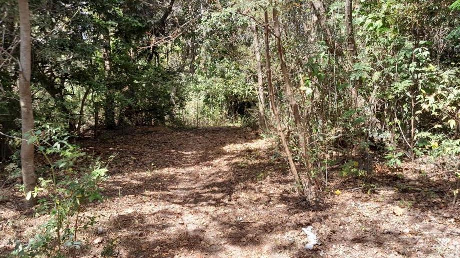 Terreno à Venda, 25.880,00 m² - Foto 14