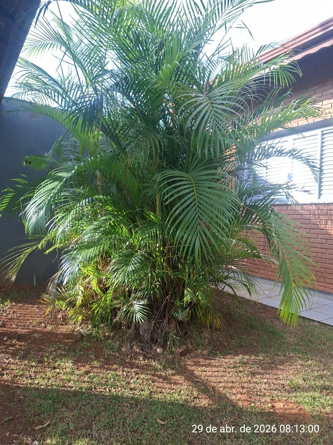 Casa à Venda - Foto 2