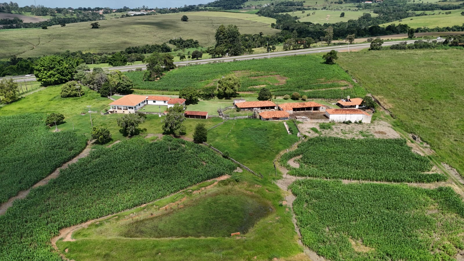 Rural com 3 Quartos à Venda, 307.000,00 m² - Foto 4