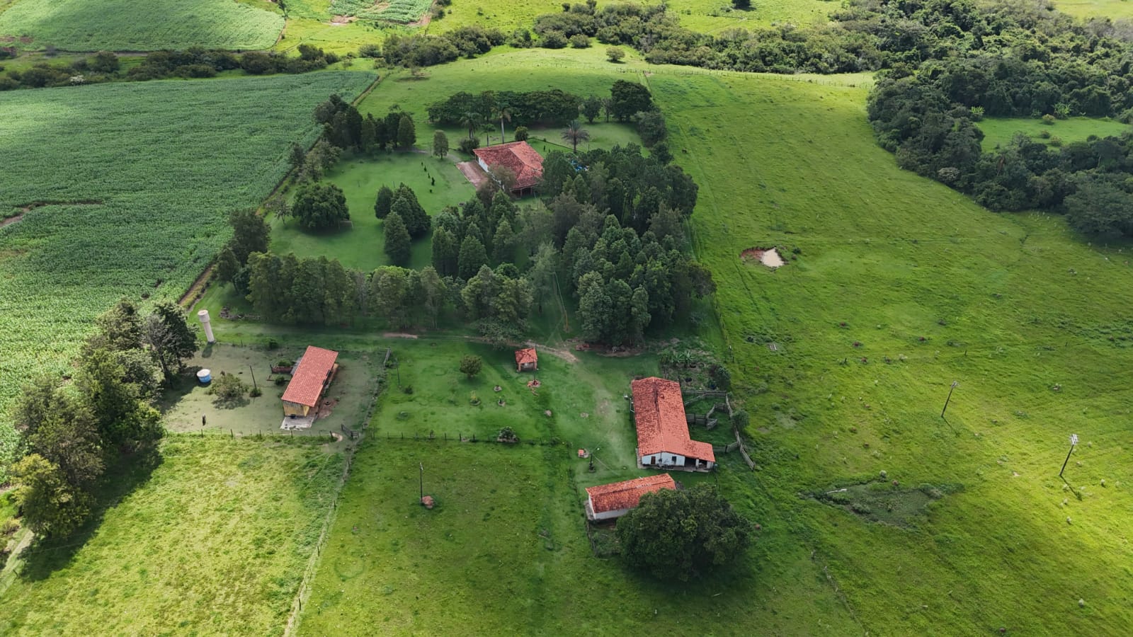 Rural com 3 Quartos à Venda, 220.000,00 m² - Foto 16