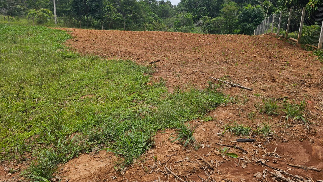 Rural com 3 Quartos à Venda, 160.000,00 m² - Foto 12