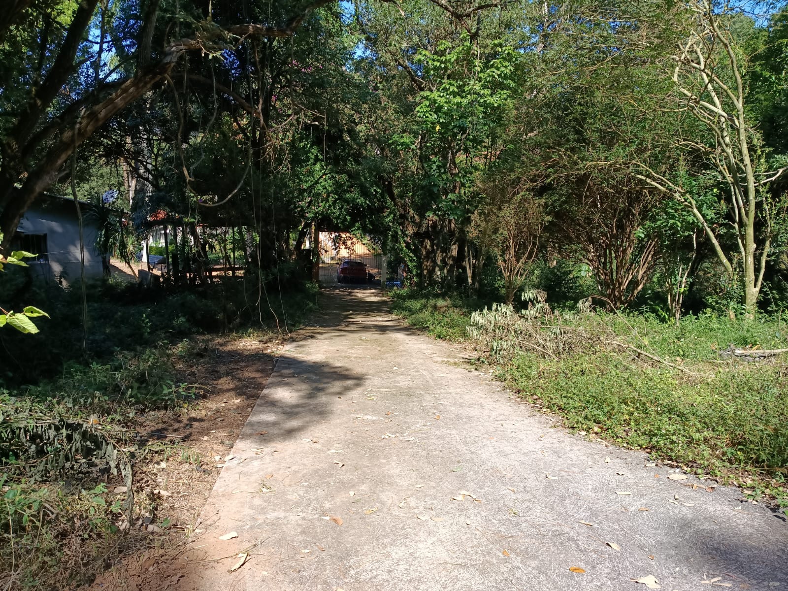 Rural com 4 Quartos à Venda, 9.200,00 m² - Foto 17
