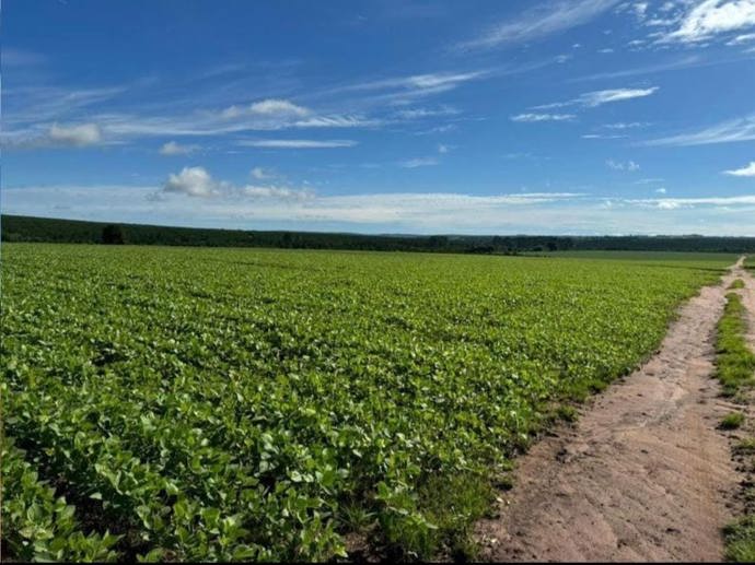 Rural com 4 Quartos à Venda, 240,00 m² - Foto 6