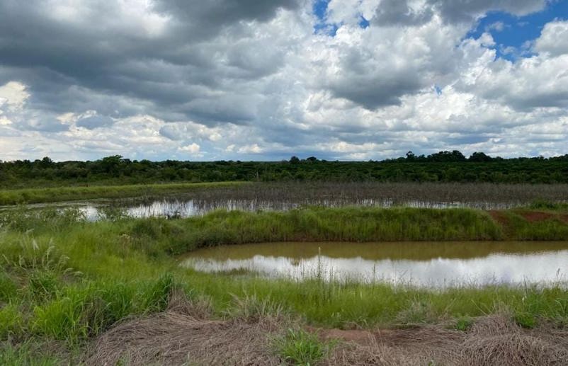 Rural com 4 Quartos à Venda, 240,00 m² - Foto 15