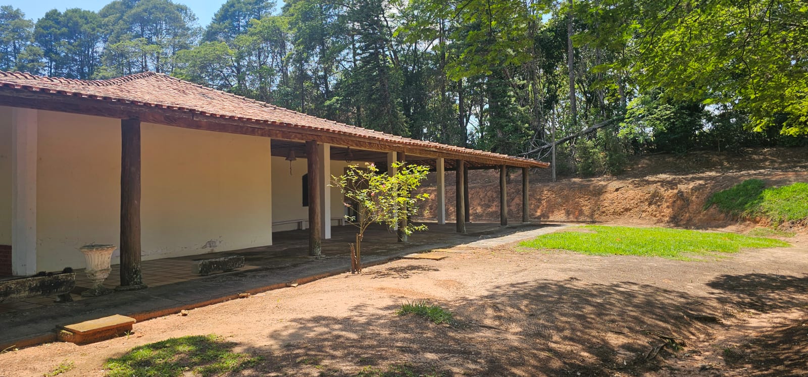 Rural com 4 Quartos à Venda, 242.000,00 m² - Foto 14