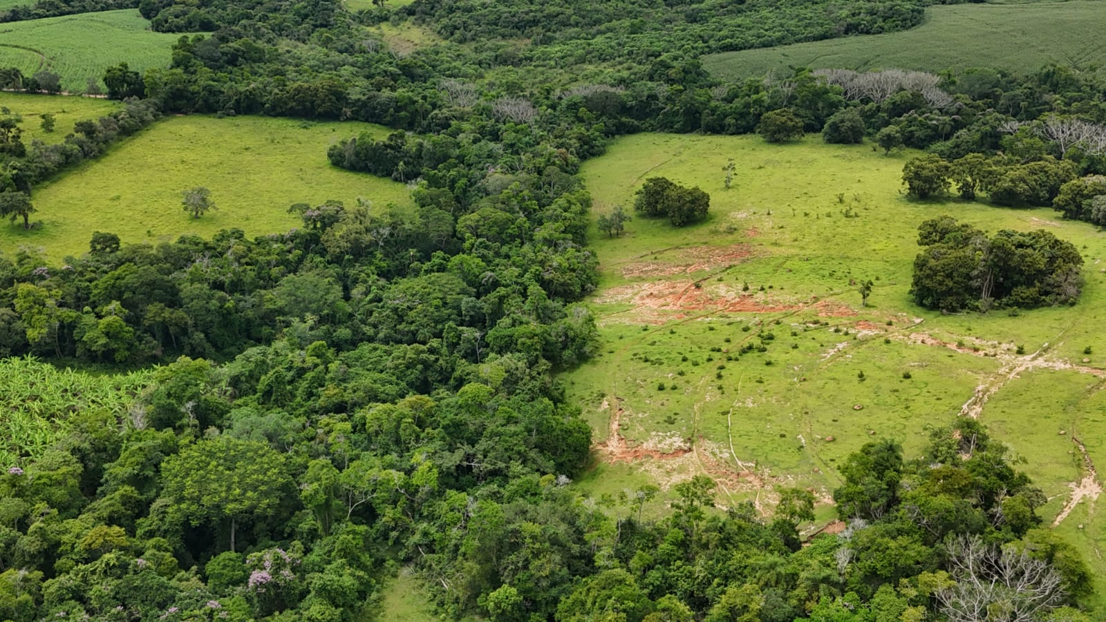 Rural com 3 Quartos à Venda, 160.000,00 m² - Foto 13