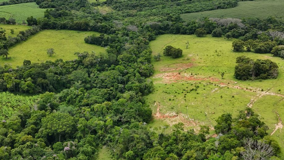 Rural com 3 Quartos à Venda, 160.000,00 m² - Foto 13