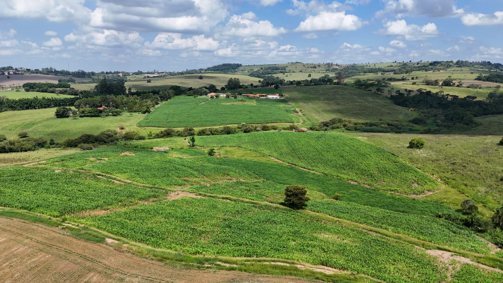 Rural com 3 Quartos à Venda, 307.000,00 m² - Foto 7