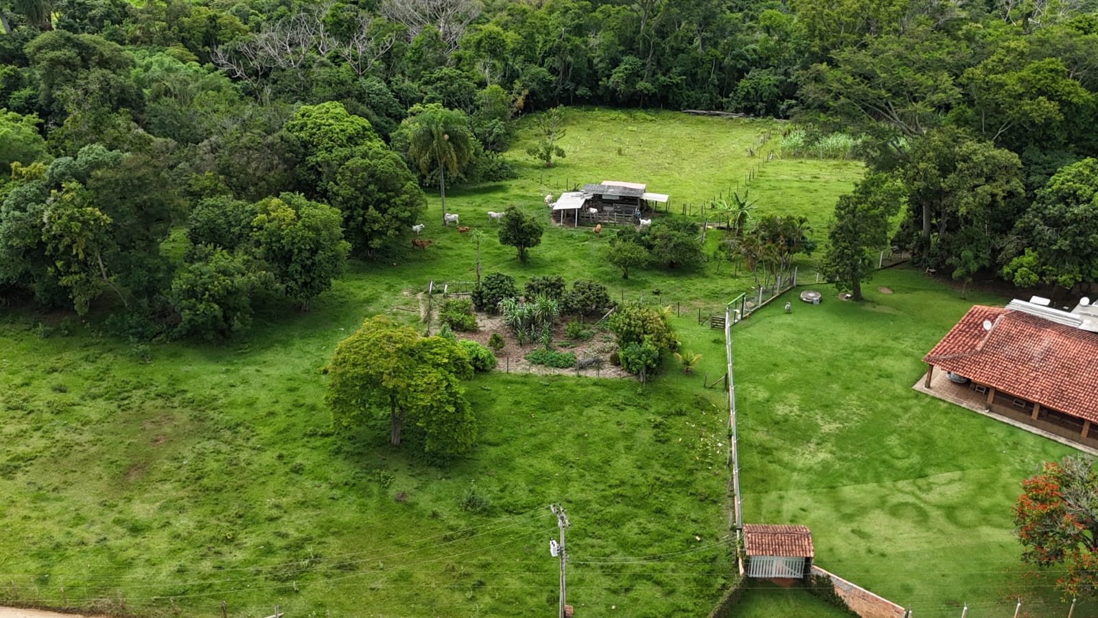 Rural com 3 Quartos à Venda, 160.000,00 m² - Foto 19