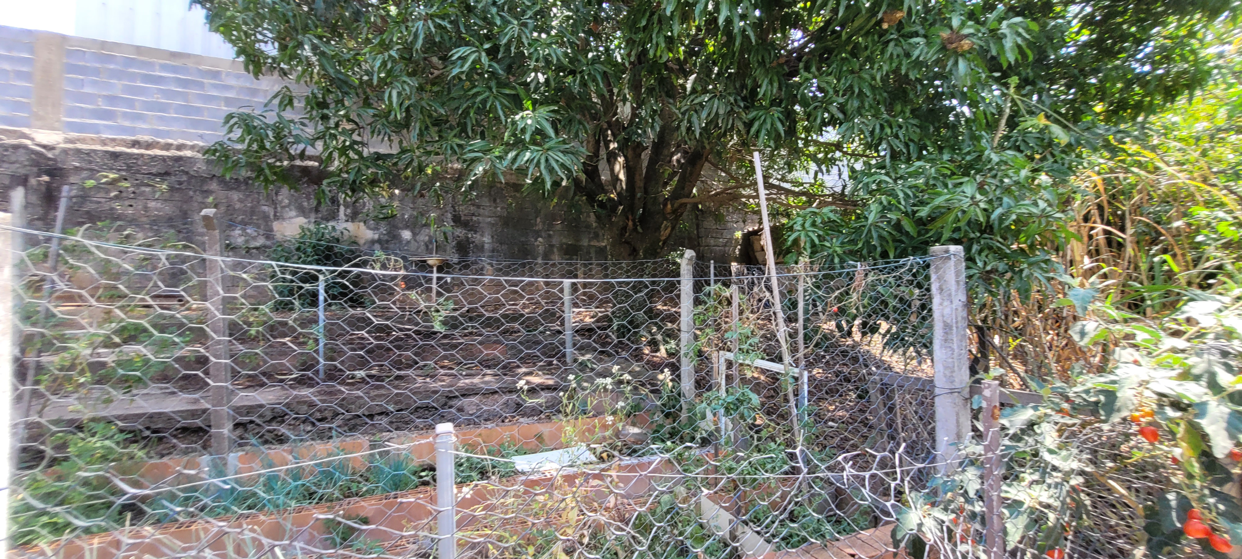 Rural com 2 Quartos à Venda, 247,64 m² - Foto 22