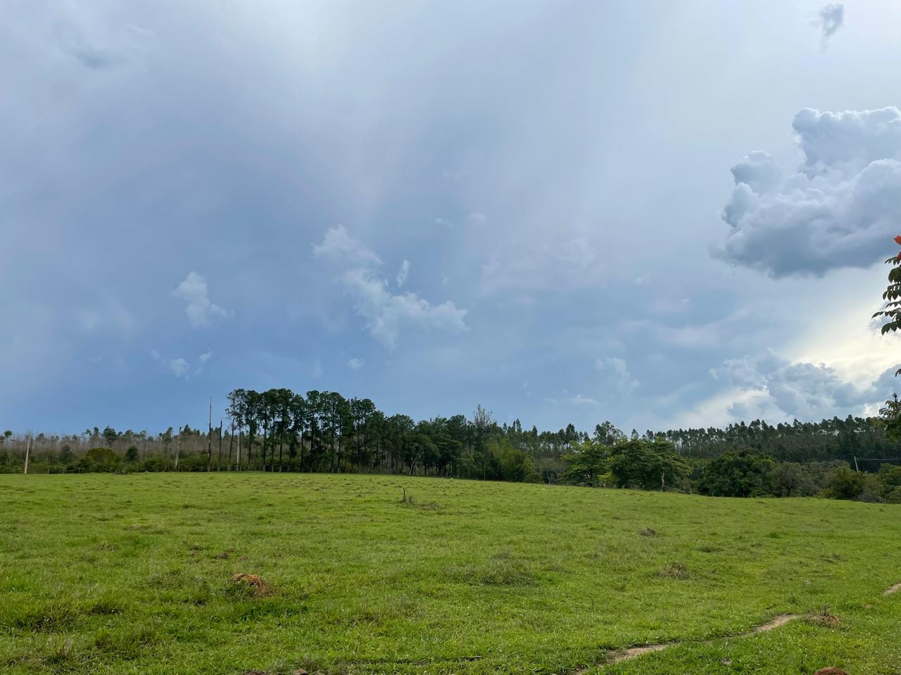 Rural com 6 Quartos à Venda, 502.000,00 m² - Foto 20
