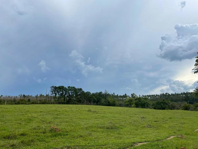 Rural com 6 Quartos à Venda, 502.000,00 m² - Foto 20