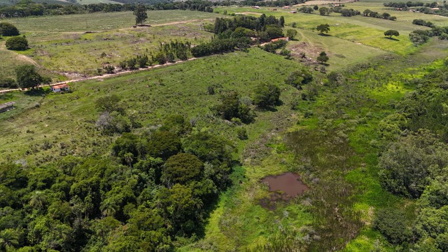 Rural com 4 Quartos à Venda, 242.000,00 m² - Foto 9