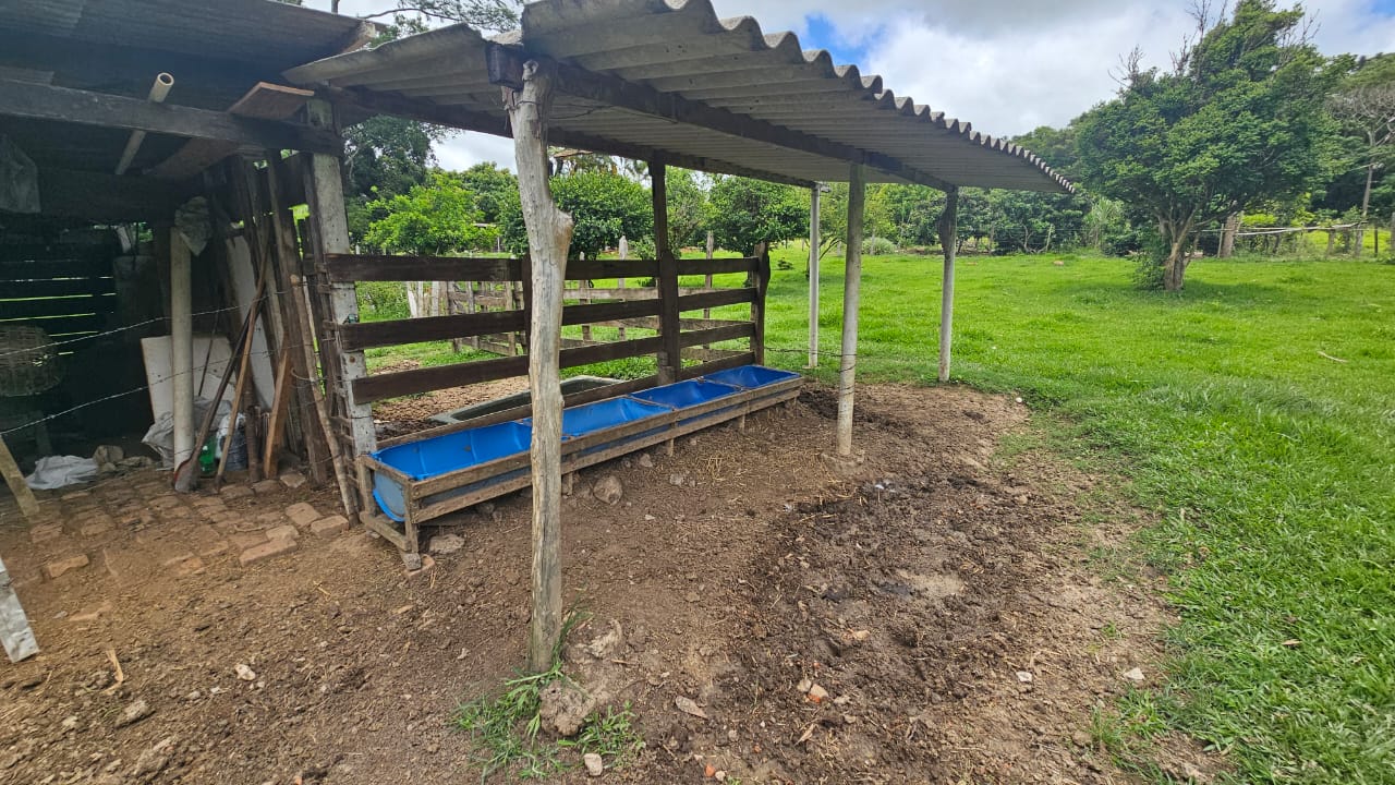 Rural com 3 Quartos à Venda, 160.000,00 m² - Foto 4