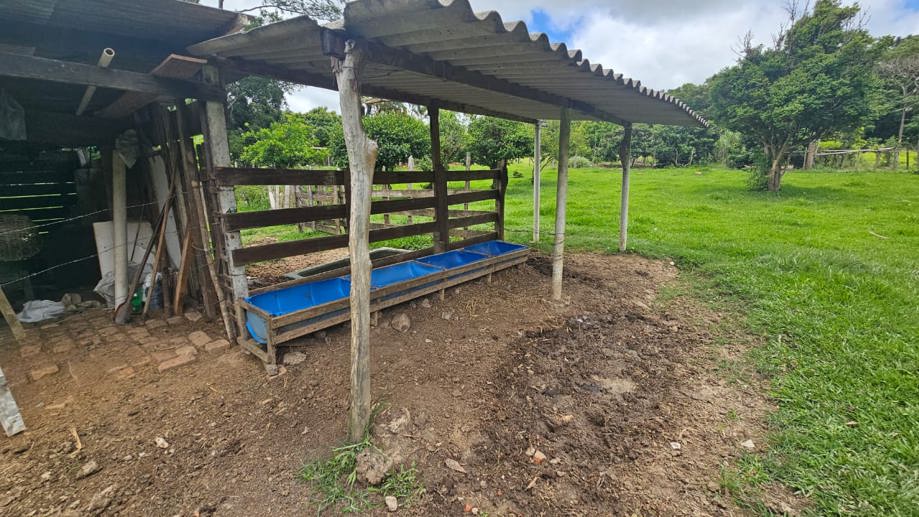 Rural com 3 Quartos à Venda, 160.000,00 m² - Foto 4