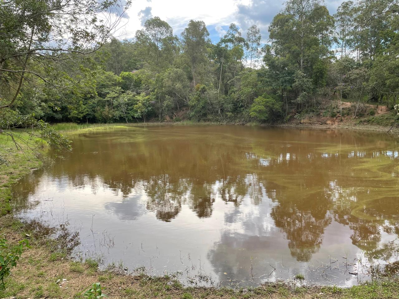 Rural com 6 Quartos à Venda, 502.000,00 m² - Foto 23