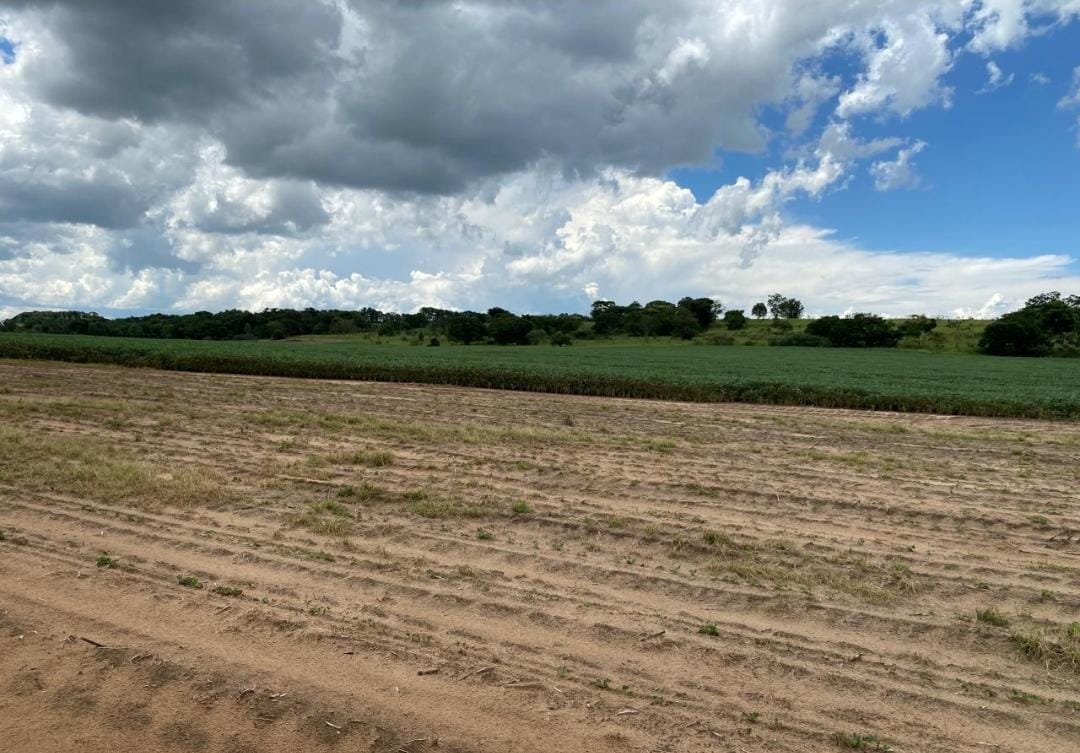 Rural com 4 Quartos à Venda, 240,00 m² - Foto 11