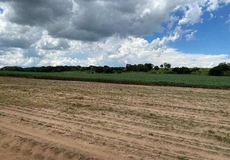 Rural com 4 Quartos à Venda, 240,00 m² - Foto 11