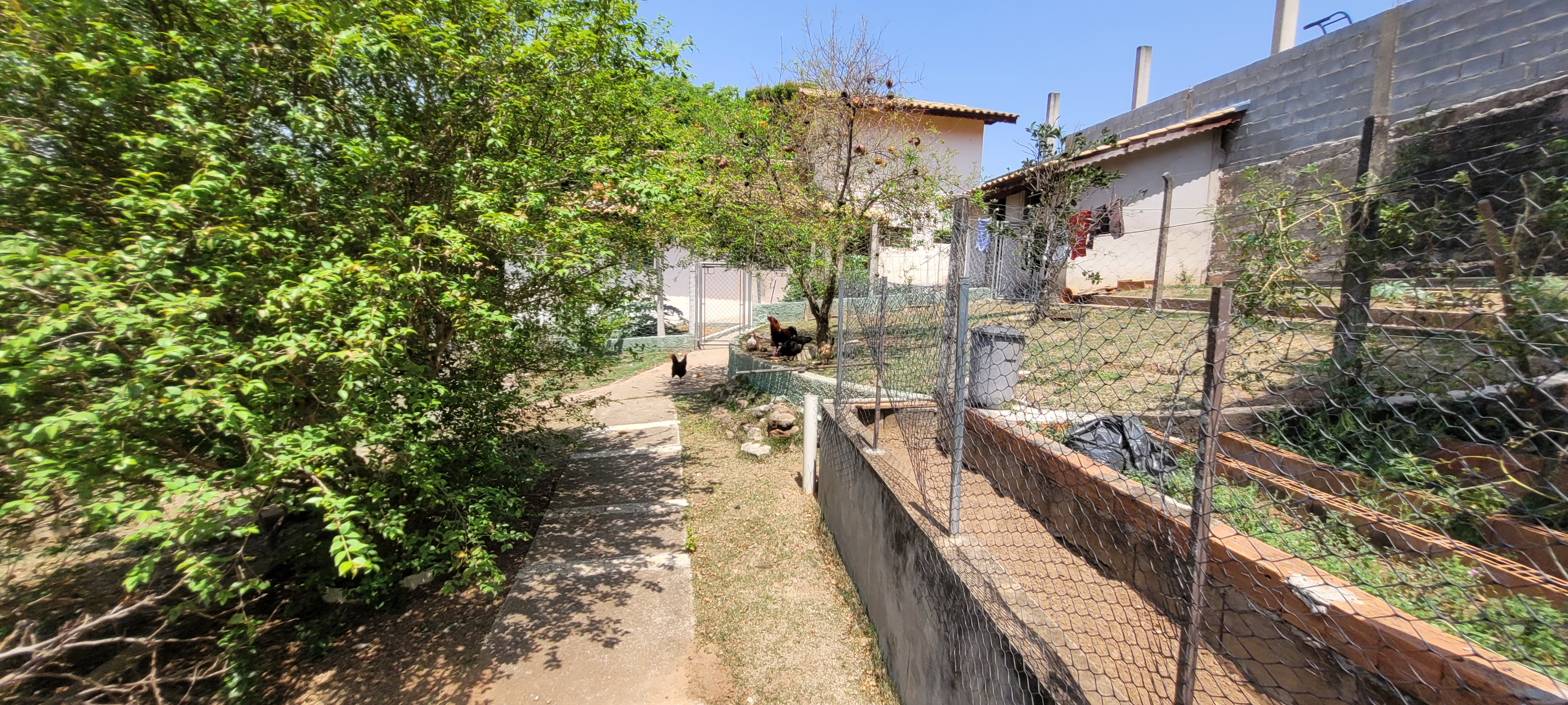 Rural com 2 Quartos à Venda, 247,64 m² - Foto 21