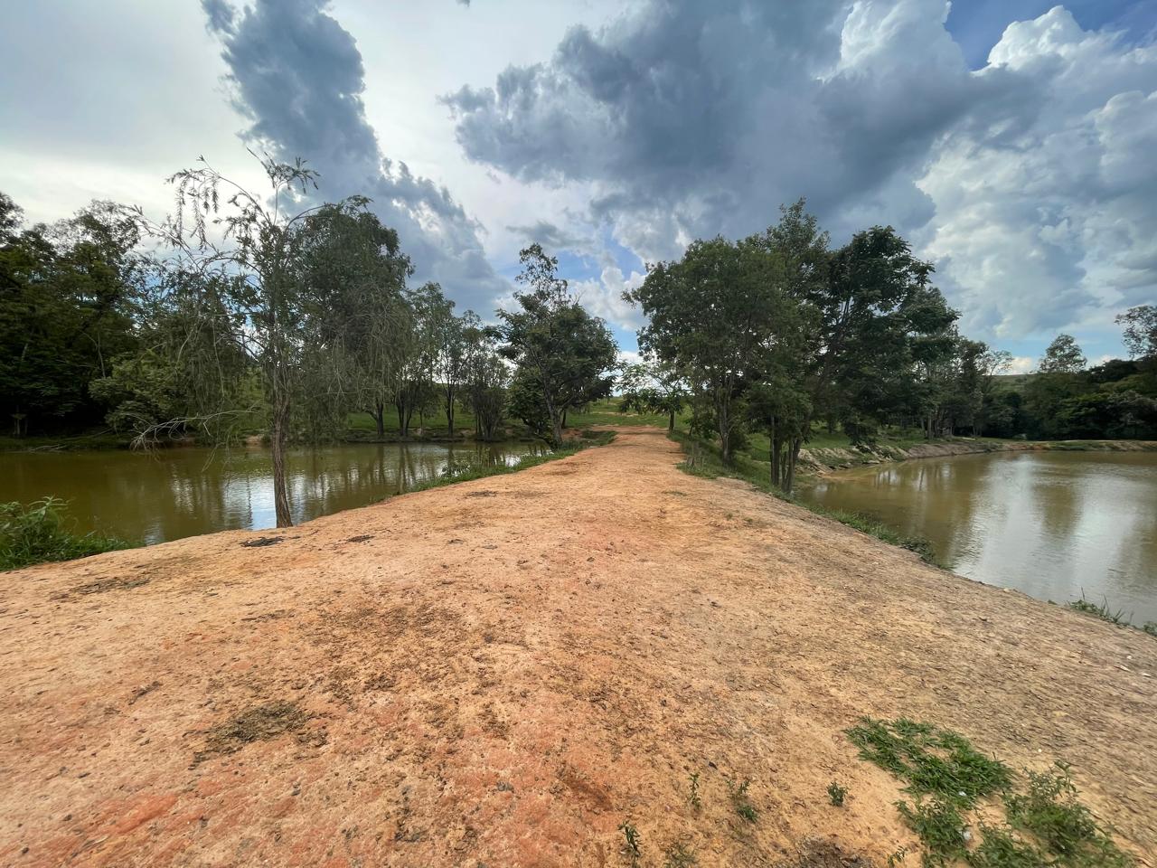 Rural com 6 Quartos à Venda, 502.000,00 m² - Foto 18