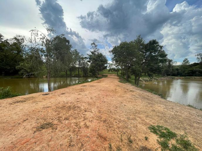 Rural com 6 Quartos à Venda, 502.000,00 m² - Foto 18