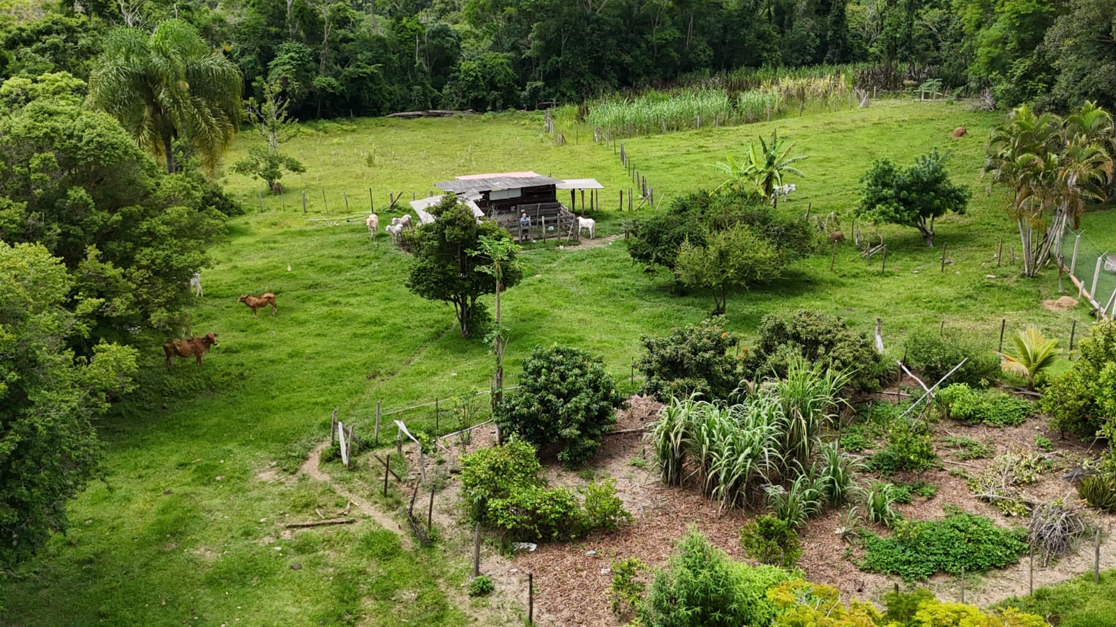 Rural com 3 Quartos à Venda, 160.000,00 m² - Foto 20