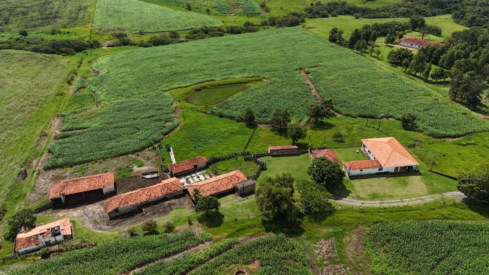 Rural com 3 Quartos à Venda, 307.000,00 m² - Foto 8