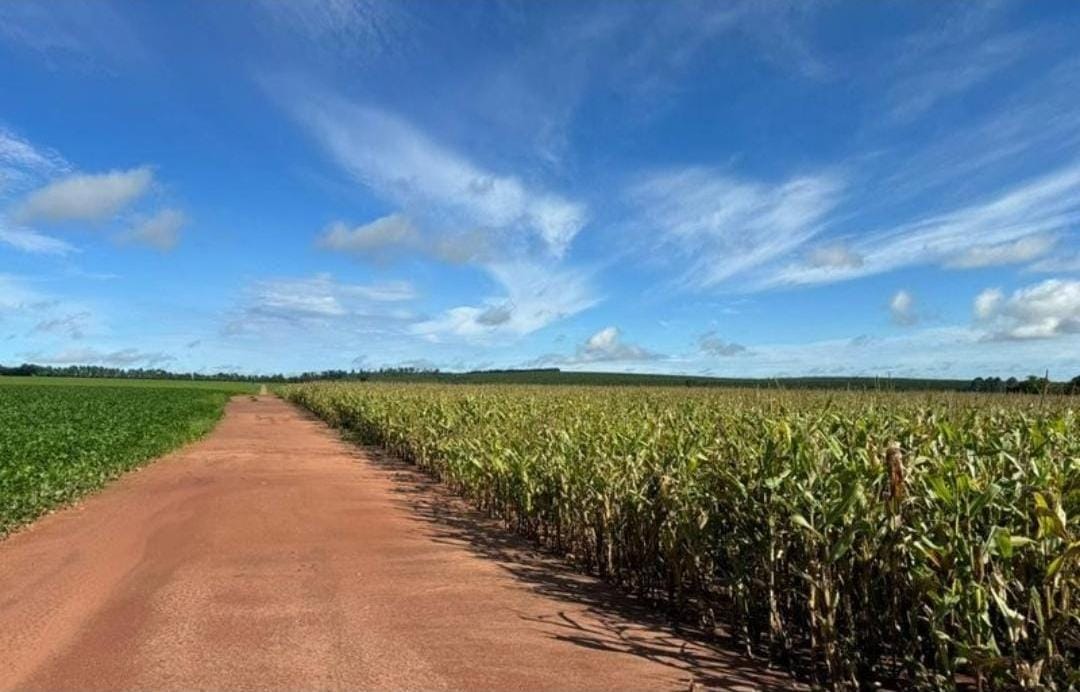 Rural com 4 Quartos à Venda, 240,00 m² - Foto 5