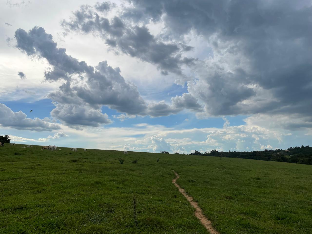 Rural com 6 Quartos à Venda, 502.000,00 m² - Foto 19