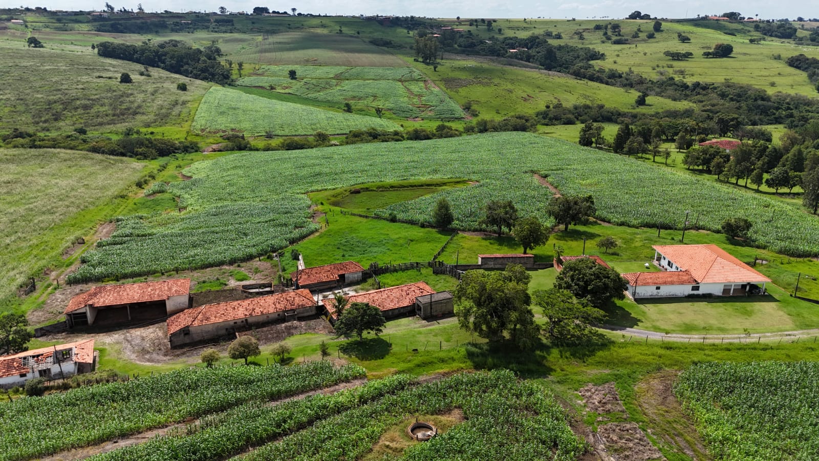 Rural com 3 Quartos à Venda, 307.000,00 m² - Foto 5