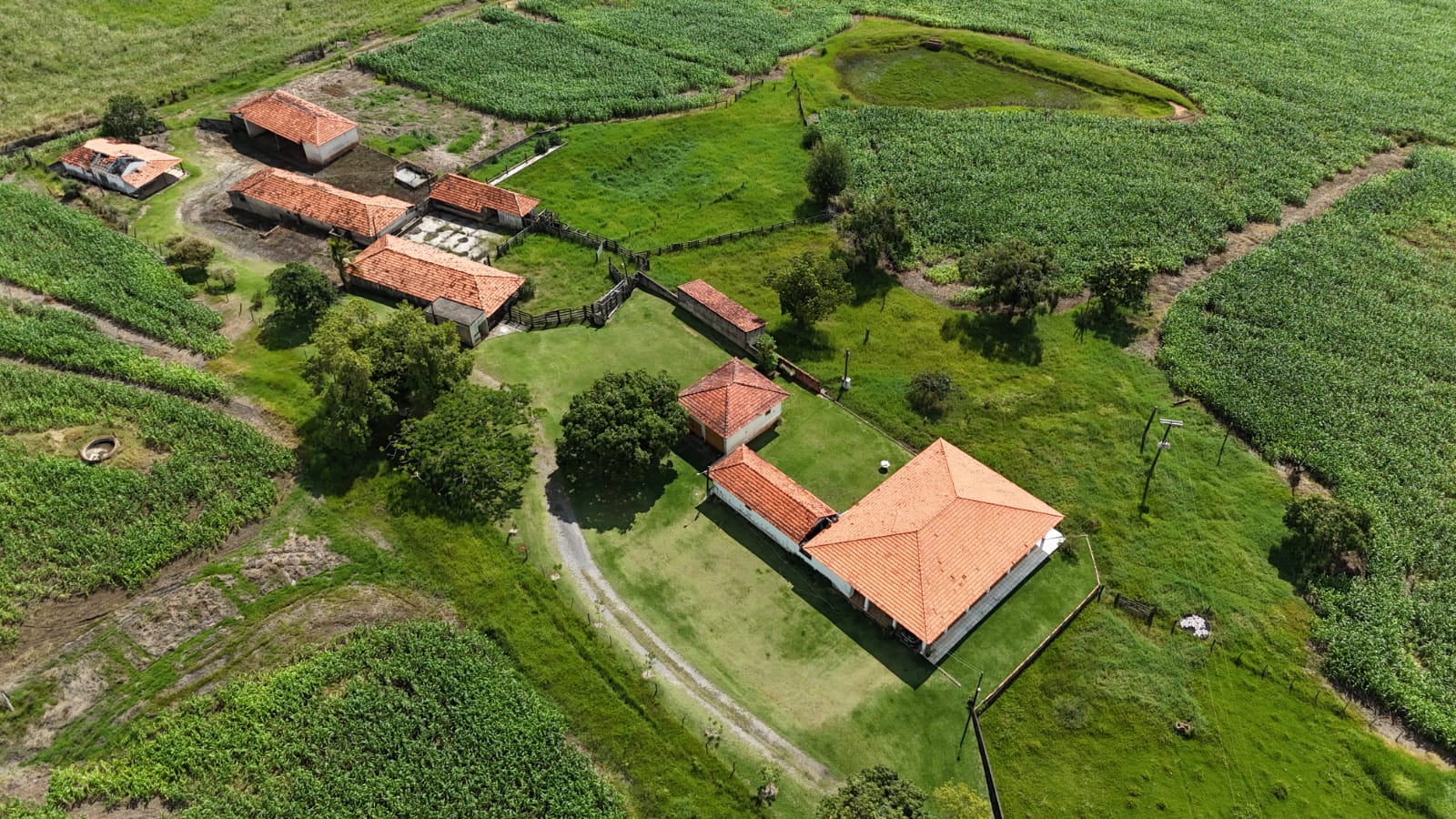 Rural com 3 Quartos à Venda, 307.000,00 m² - Foto 10