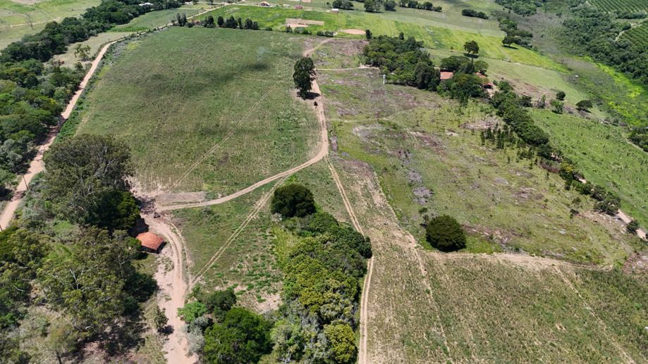 Rural com 4 Quartos à Venda, 242.000,00 m² - Foto 5