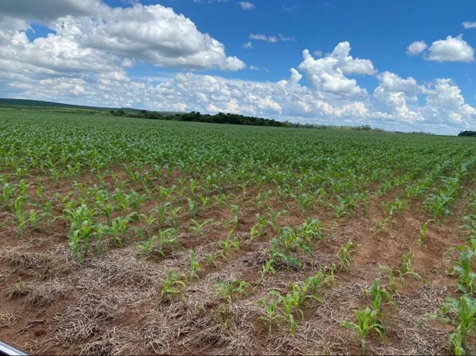 Rural com 4 Quartos à Venda, 240,00 m² - Foto 3