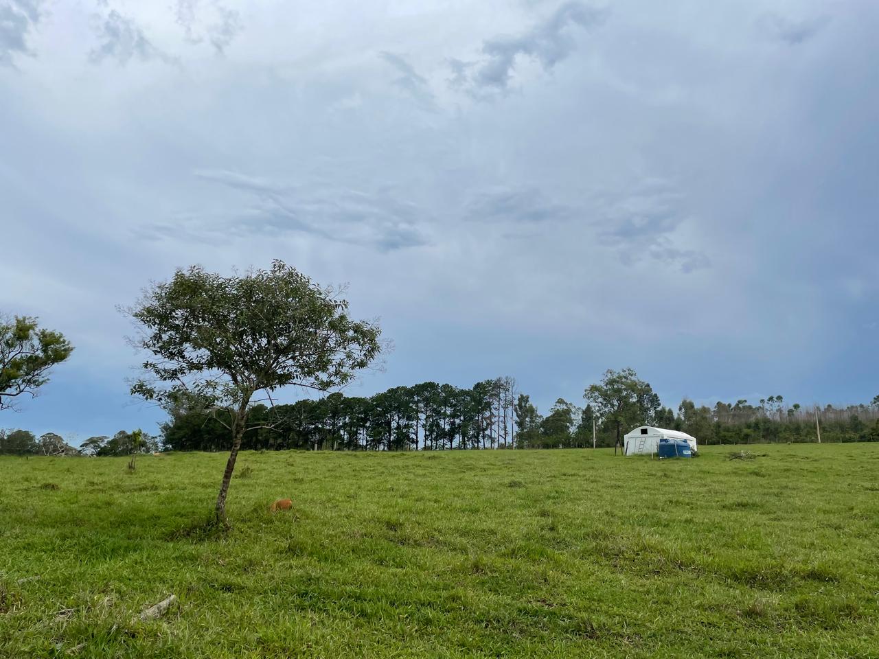Rural com 6 Quartos à Venda, 502.000,00 m² - Foto 22