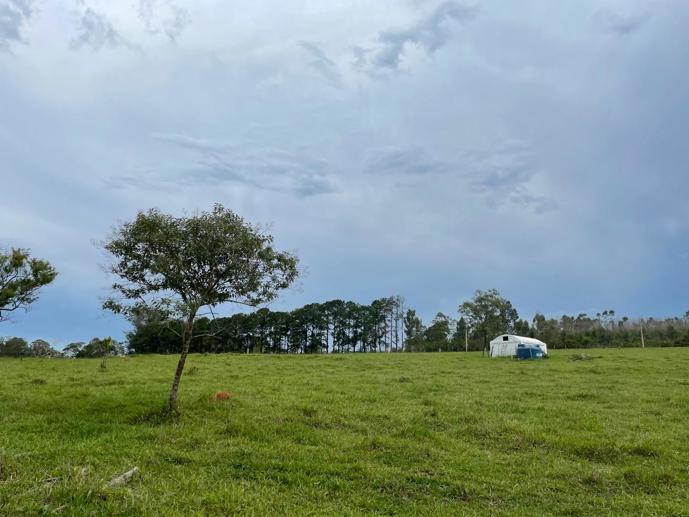 Rural com 6 Quartos à Venda, 502.000,00 m² - Foto 22