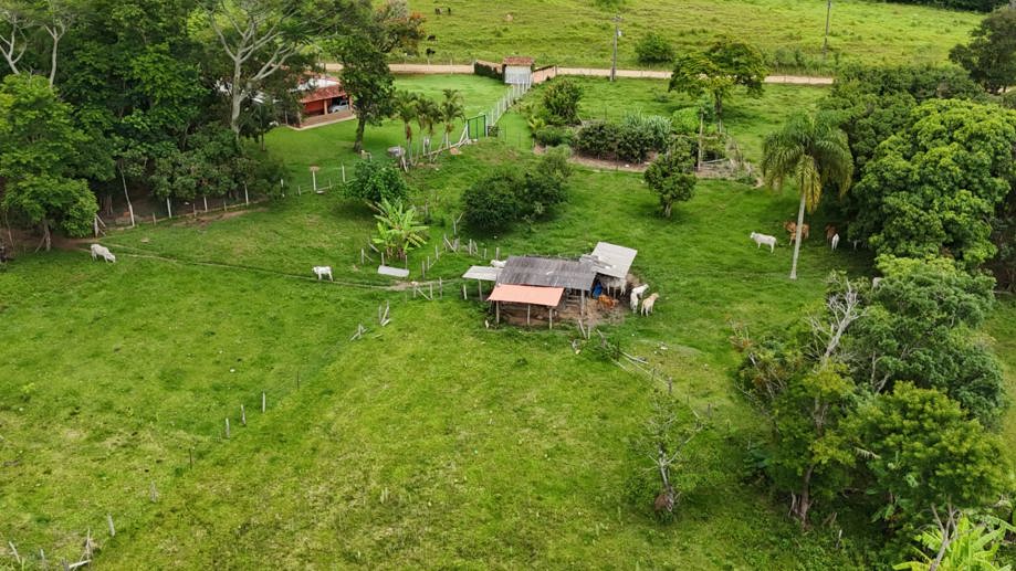 Rural com 3 Quartos à Venda, 160.000,00 m² - Foto 16