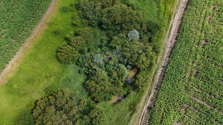 Rural com 3 Quartos à Venda, 307.000,00 m² - Foto 6