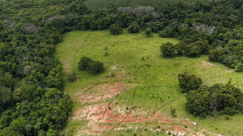 Rural com 3 Quartos à Venda, 160.000,00 m² - Foto 10