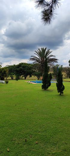 Rural com 3 Quartos à Venda, 220.000,00 m² - Foto 8