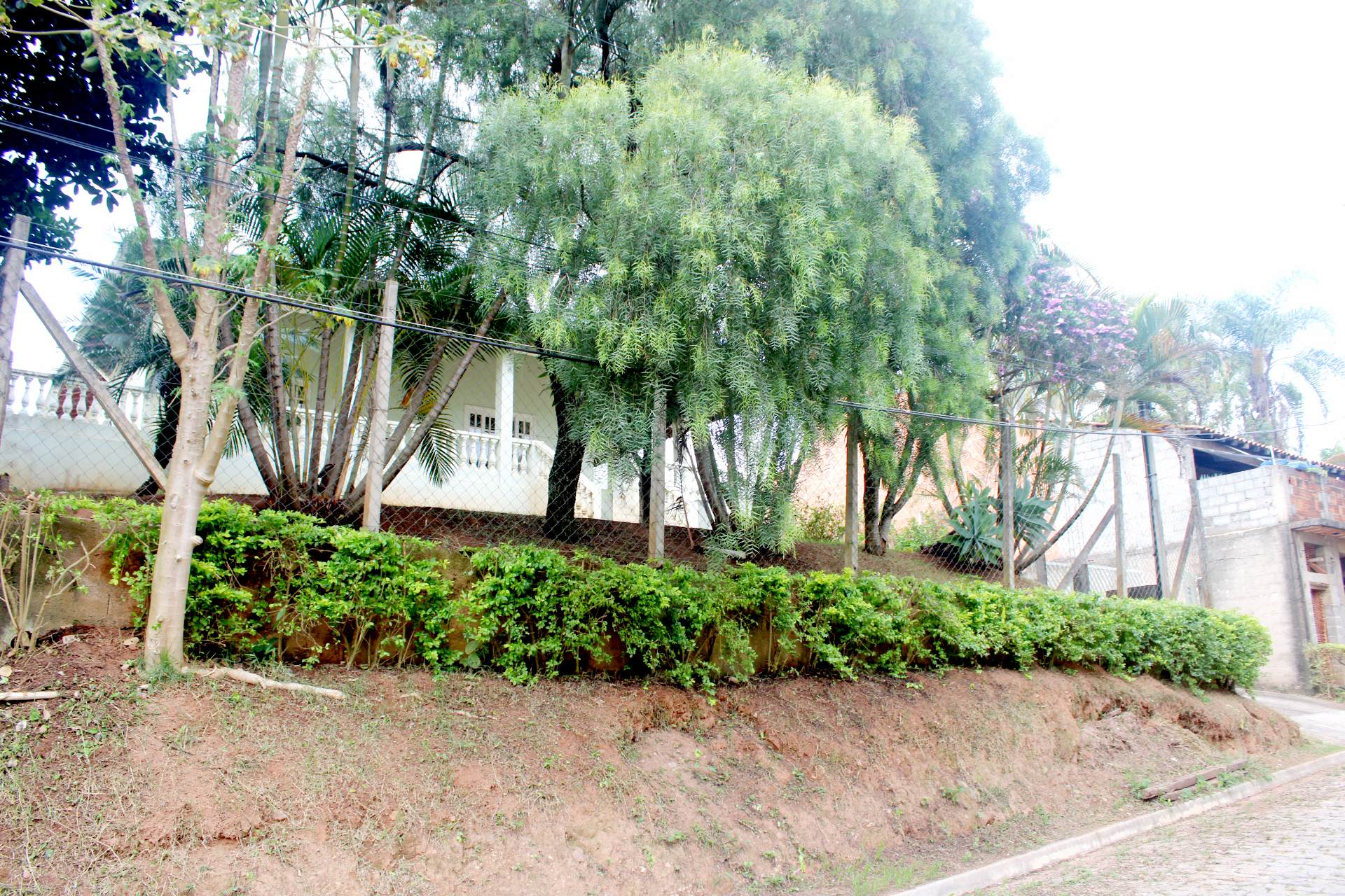 Rural com 4 Quartos à Venda, 3.000,00 m² - Foto 23