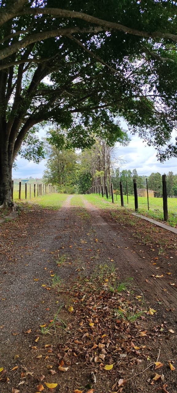 Rural com 3 Quartos à Venda, 220.000,00 m² - Foto 12