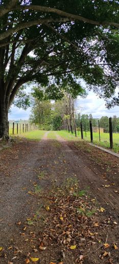 Rural com 3 Quartos à Venda, 220.000,00 m² - Foto 12