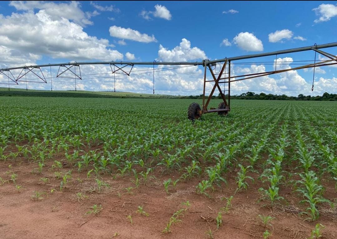 Rural com 4 Quartos à Venda, 240,00 m² - Foto 1