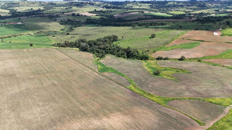 Rural com 3 Quartos à Venda, 307.000,00 m² - Foto 17