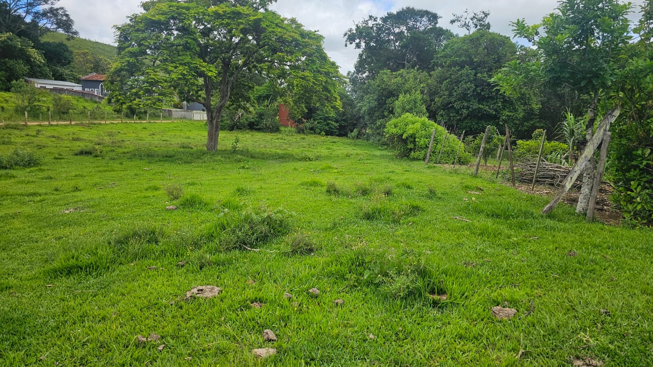 Rural com 3 Quartos à Venda, 160.000,00 m² - Foto 14